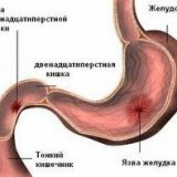 Лечебное питание при язвенной болезни