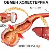 Функции холестерина в организме человека