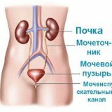 Воспалительные заболевания мочевыделительной системы